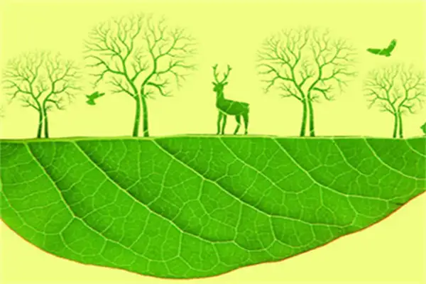 不办理环评手续的后果，不能获得环评审批的常见原因